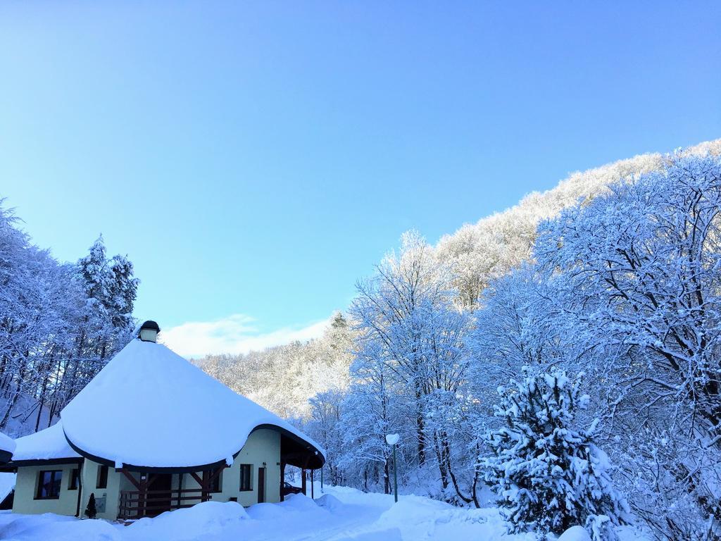 Solinianka Villas & Spa Solina  Zewnętrze zdjęcie