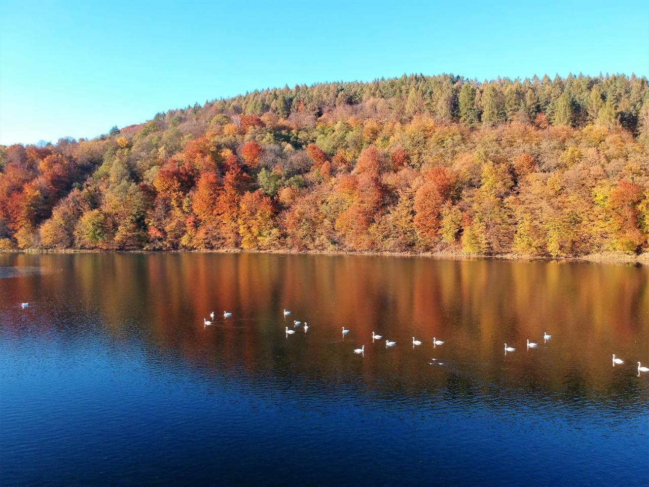 Solinianka Villas & Spa Solina  Zewnętrze zdjęcie